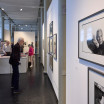 Ausstellung Volker Hinz 03.07.2026 Nr. 275