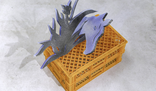 Chenxi 08