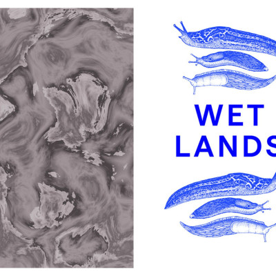 Collage Dongchan Kim Wet Lands