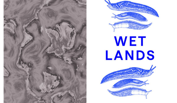Collage Dongchan Kim Wet Lands