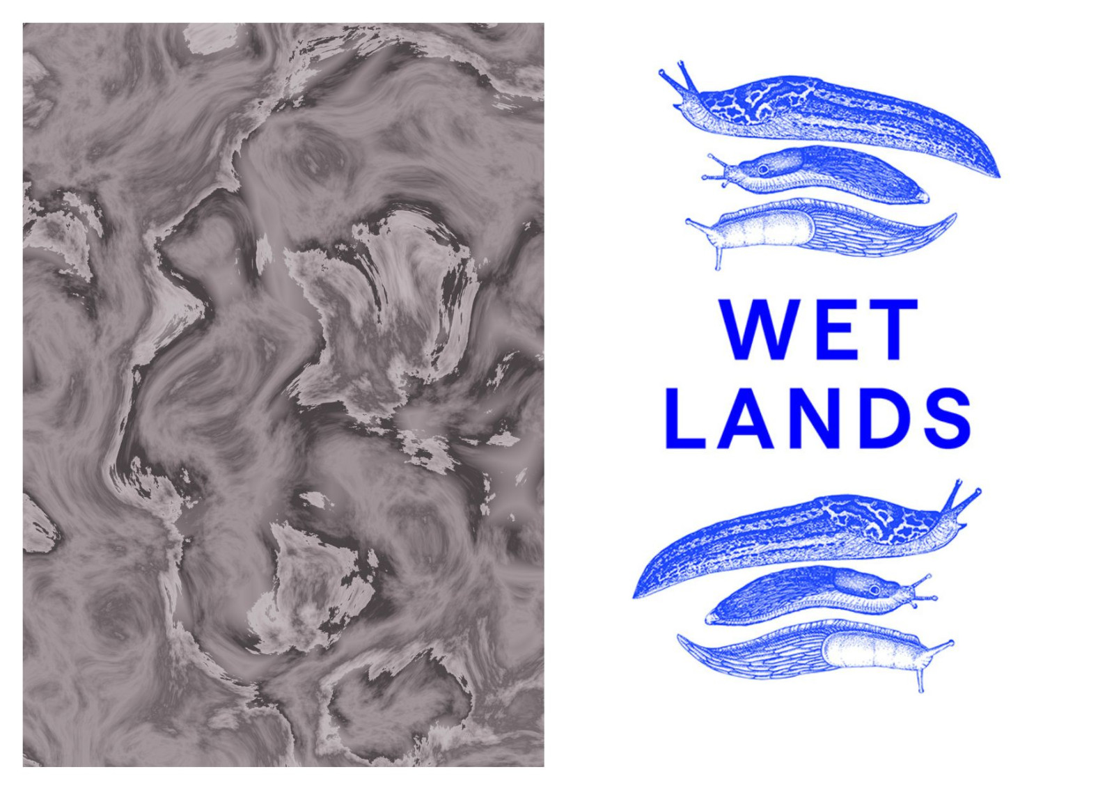 Collage Dongchan Kim Wet Lands