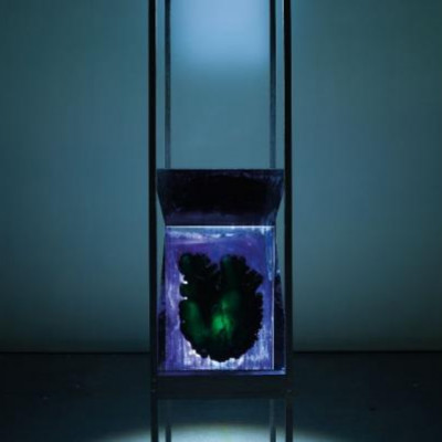 CroppedImage532399 Installation lily wittenbur foto felix krebs 766x1024