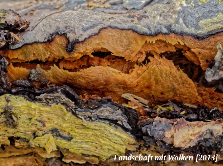 EINLADUNG Seite 4 Landschaft mit Wolken 2013