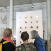EOe Gruppe Besucherinnen 