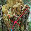 Ecoart4