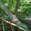 Ecoart5