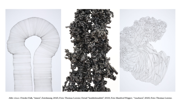 Frieder Falk Black Box alle Bilder