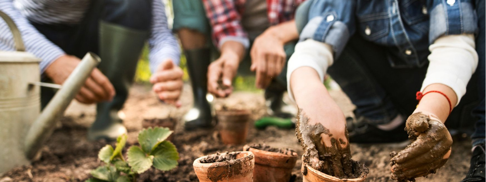Gartenarbeit Canva freie Nutzung