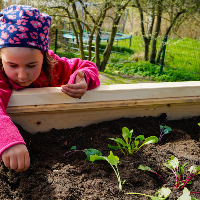 Gartenworkshop