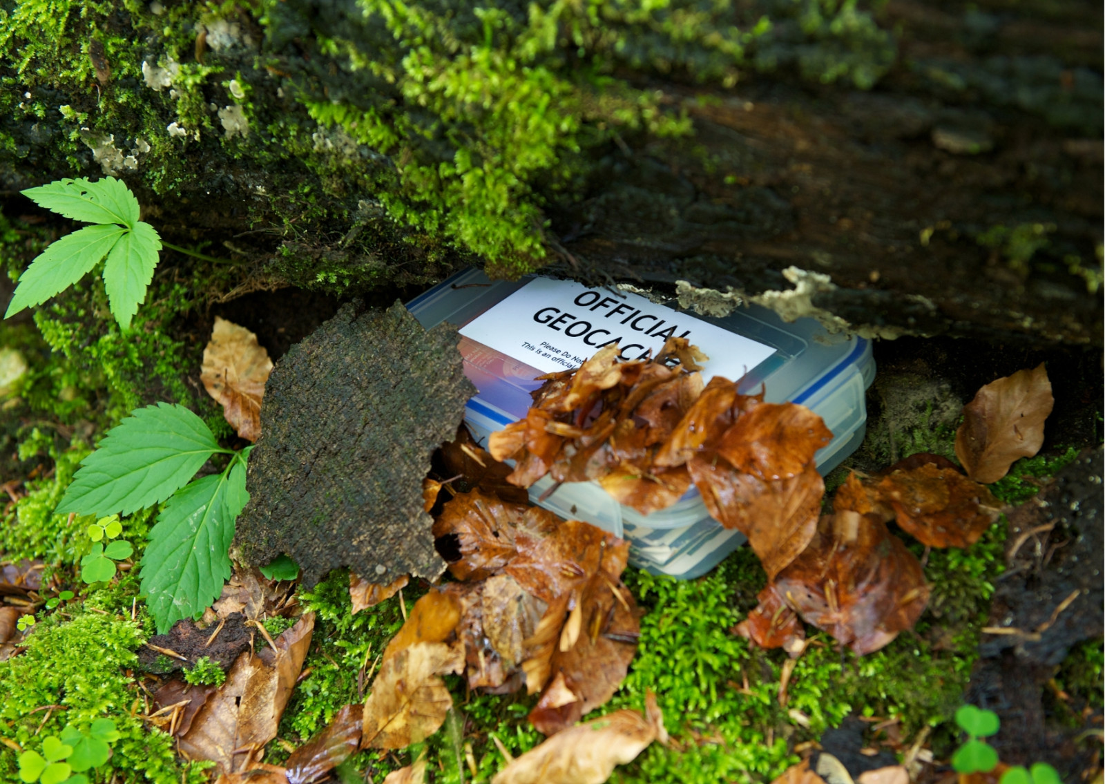 Geocaching Canva lizenzfreie Nutzung