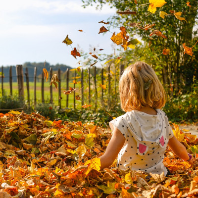 Herbstferienprogramm Pixabay zur freien Nutzung