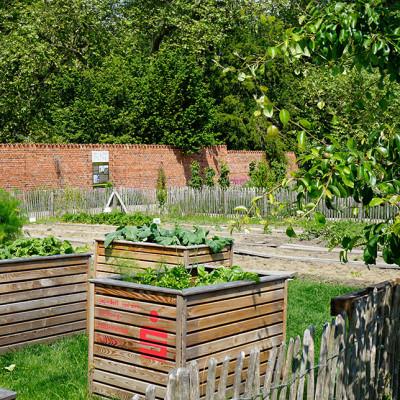 Hochbeete Kuechengarten