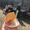 IMG 4068