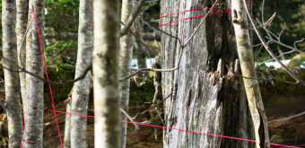 Kunst Natur Erlebnis ars eco lab 6447