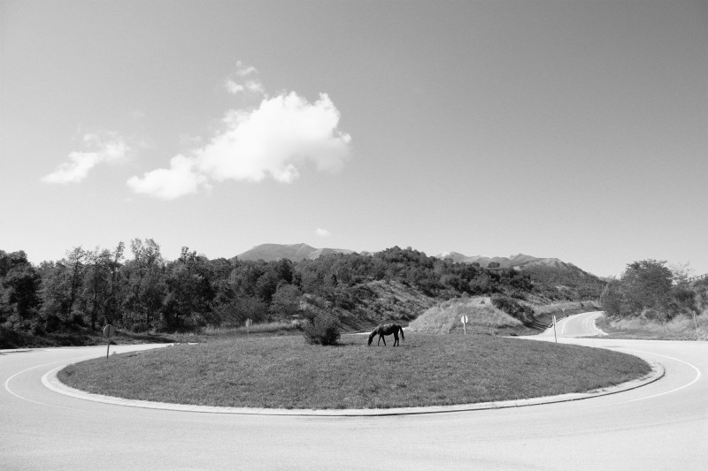 Libertat Print 42x28 AdobeRgb