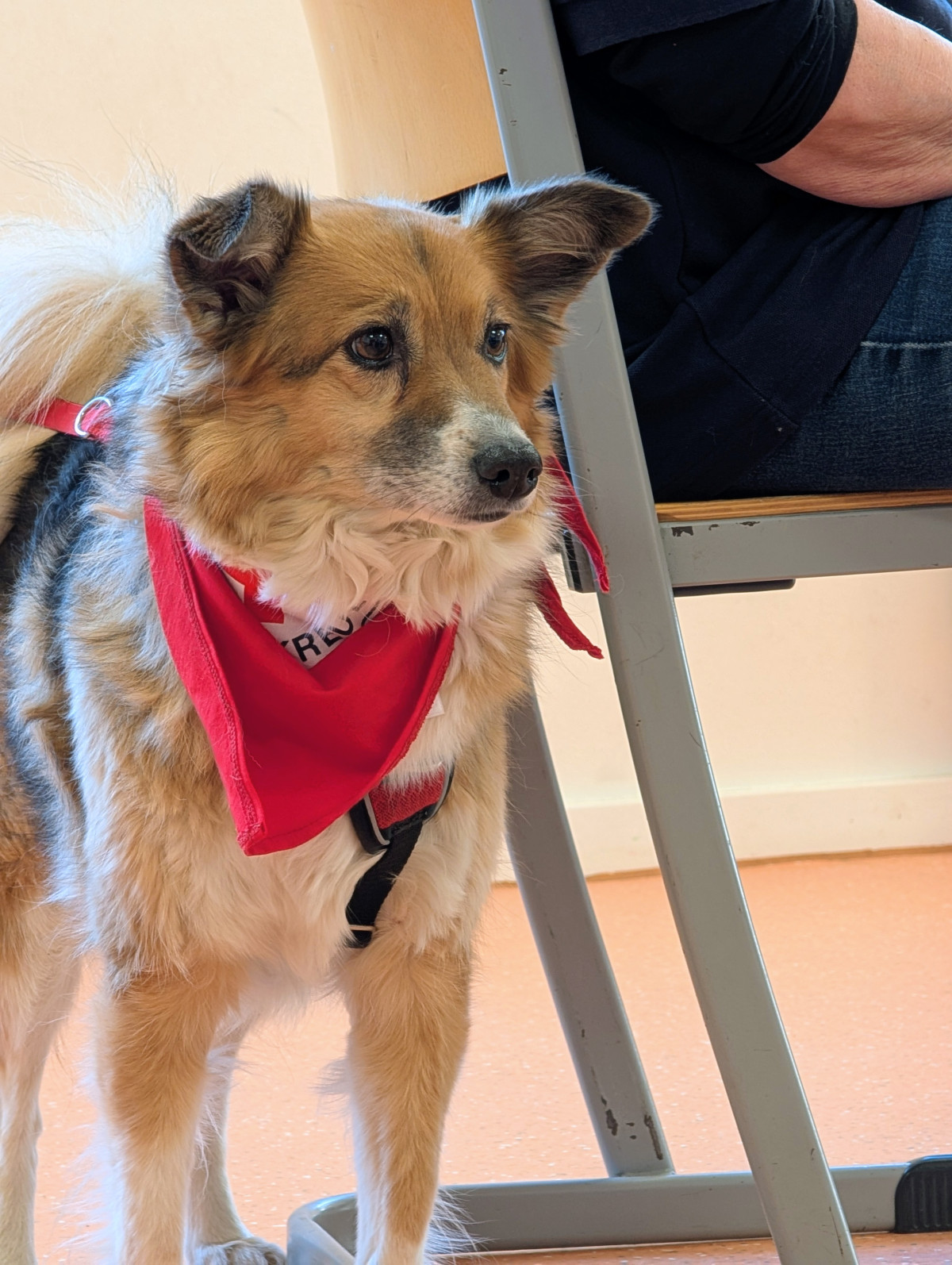 PXL 20260120 1303160552