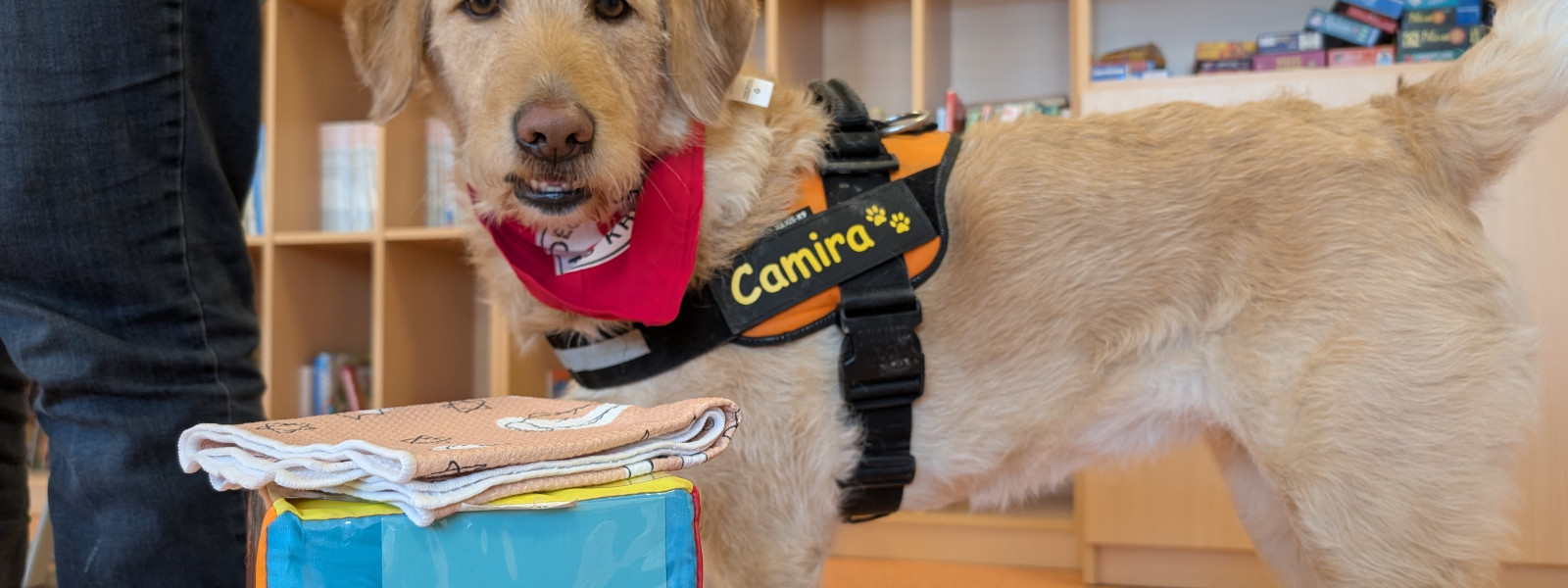 PXL 20260120 131251869