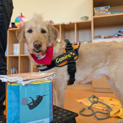 PXL 20260120 131251869