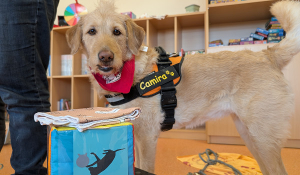 PXL 20260120 131251869