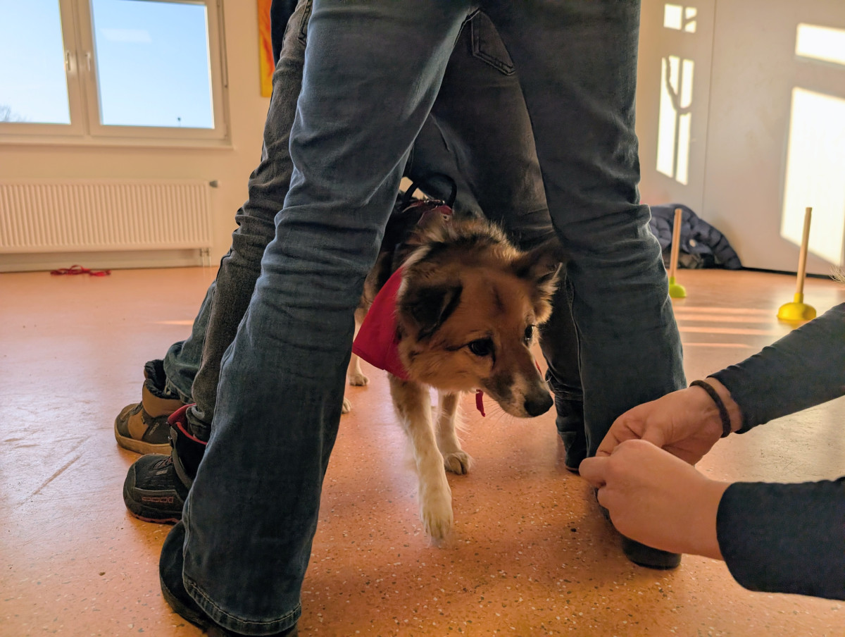 PXL 20260120 1338047212