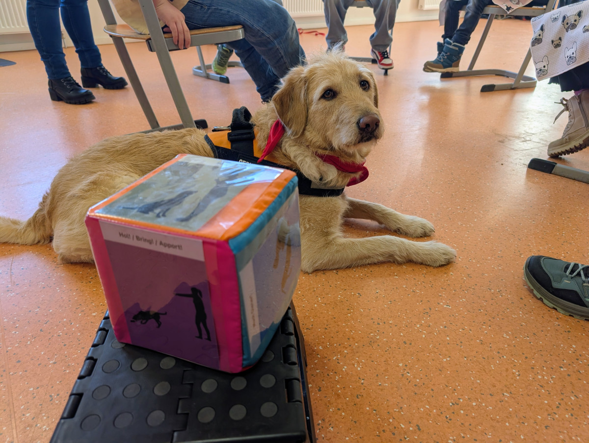 PXL 20260120 1340172662