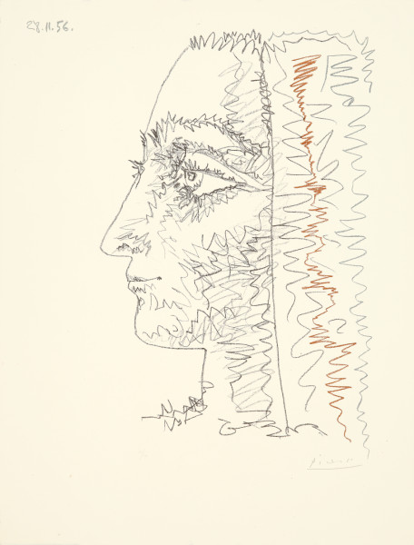 Picasso B 0826 PC 22979 SELBER RGB