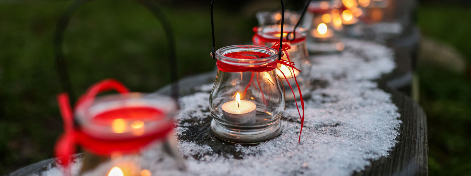 Pressefoto 1 Wald und Gartenweihnacht Stiftungen der Sparkasse Holstein