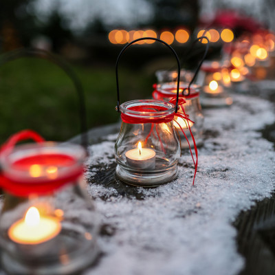 Pressefoto 1 Wald und Gartenweihnacht Stiftungen der Sparkasse Holstein