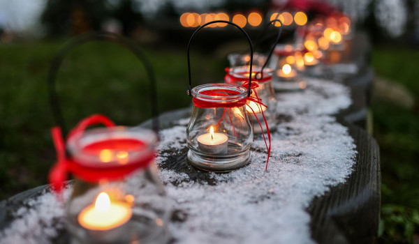 Pressefoto 1 Wald und Gartenweihnacht Stiftungen der Sparkasse Holstein