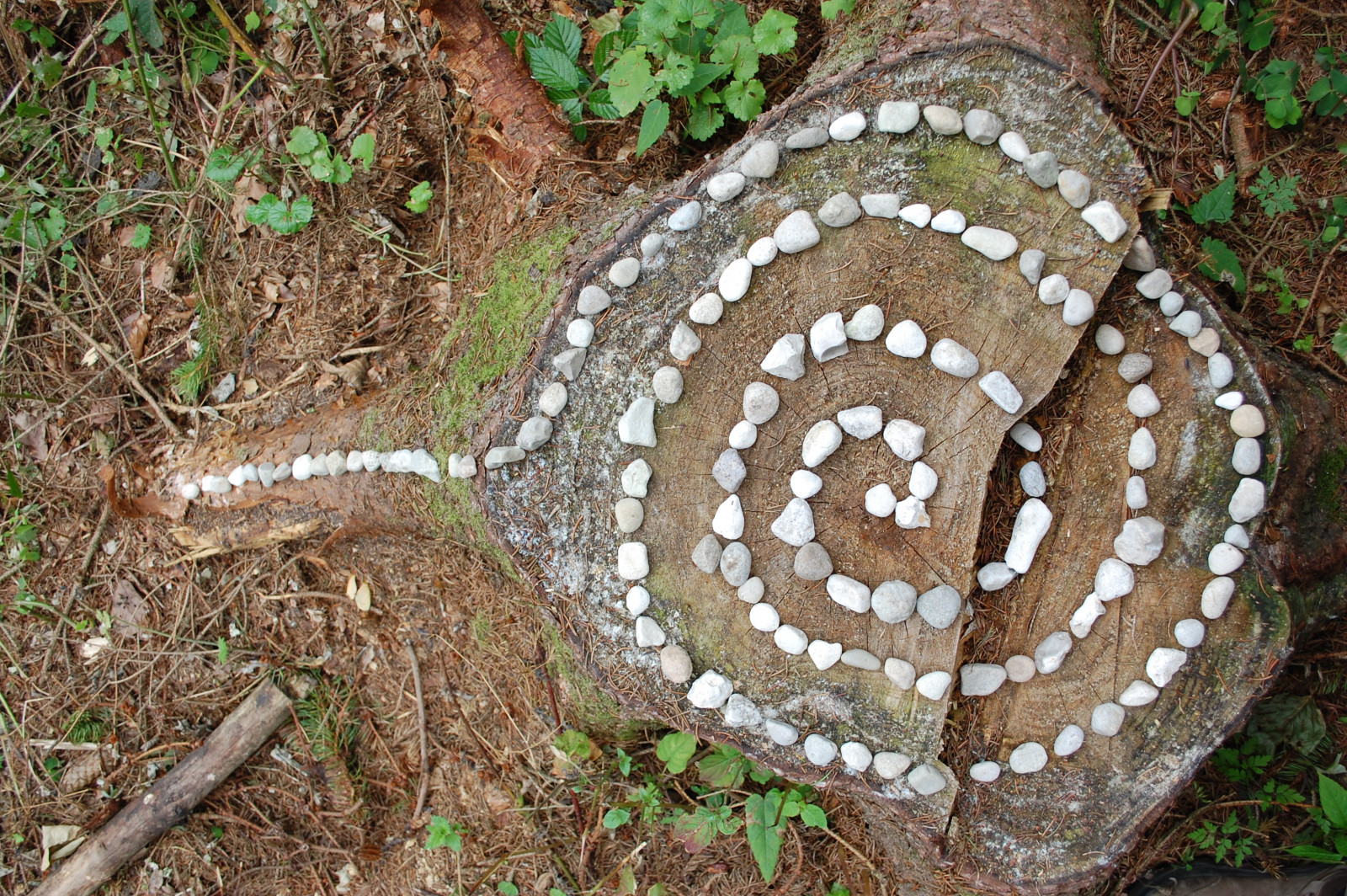 Waldkunst im Naturerlebnis Grabau