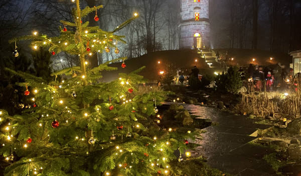 Waldweihnacht Bungsberg