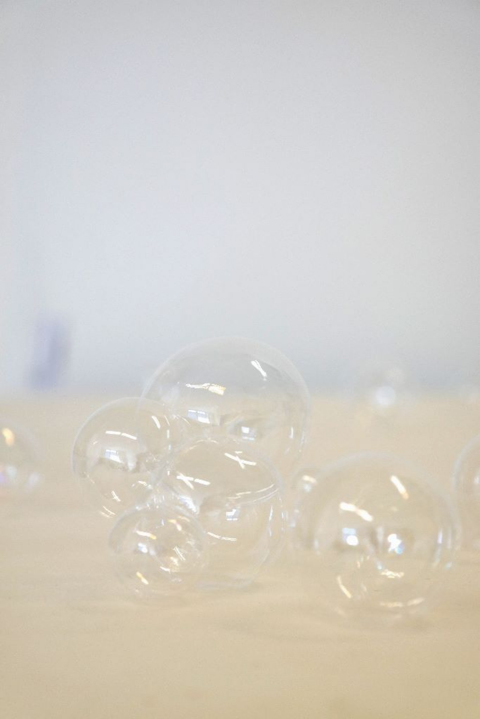 bea SAM 1439 cmyk 683x1024