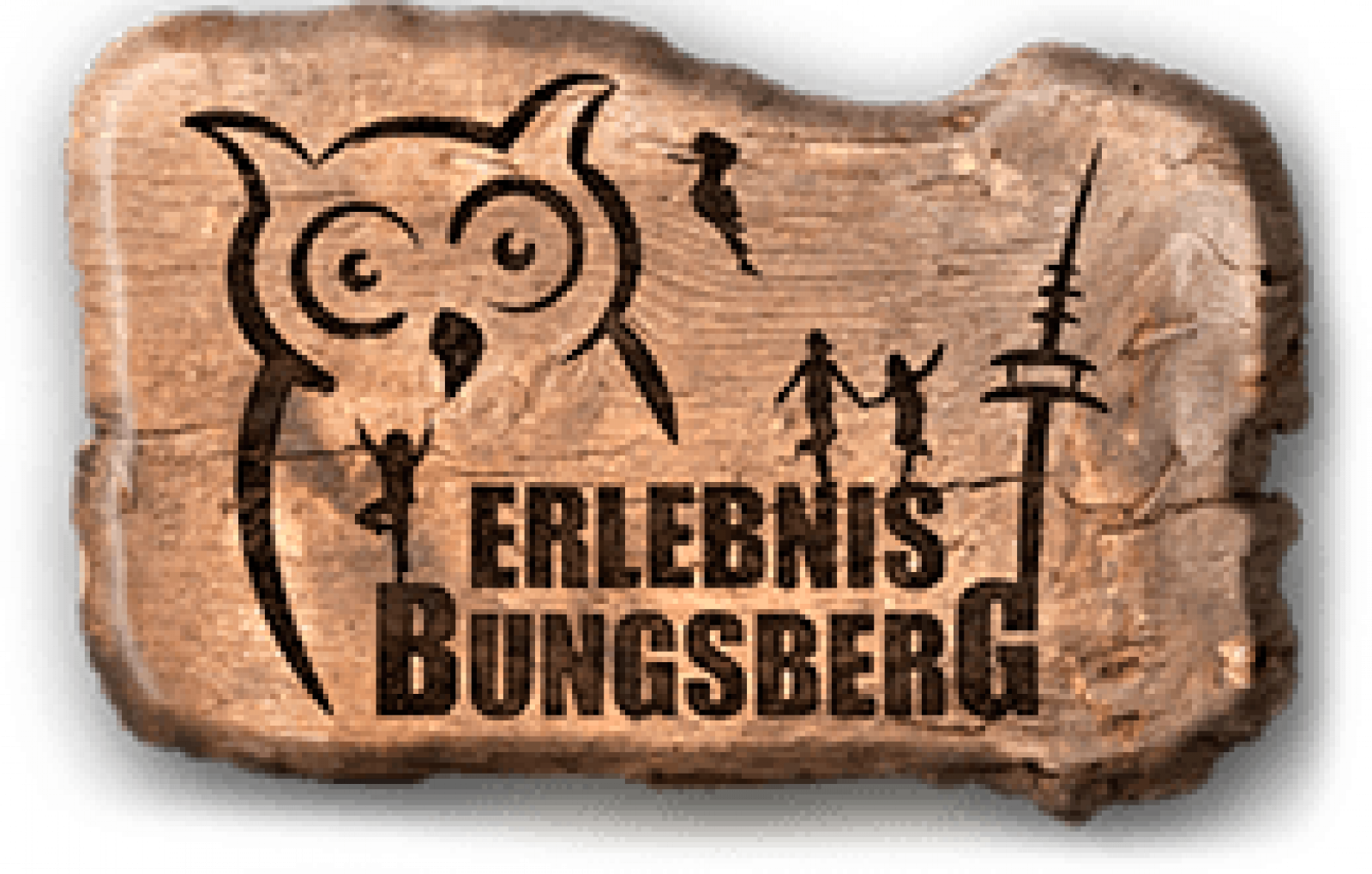 bungsberg logo