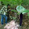 eco Art1