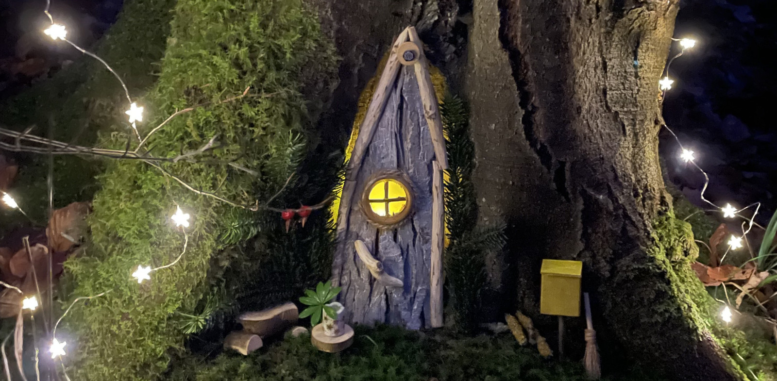 image00012 Aussschnitt v2